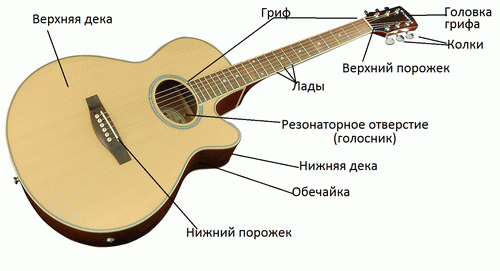 Устройство гитары